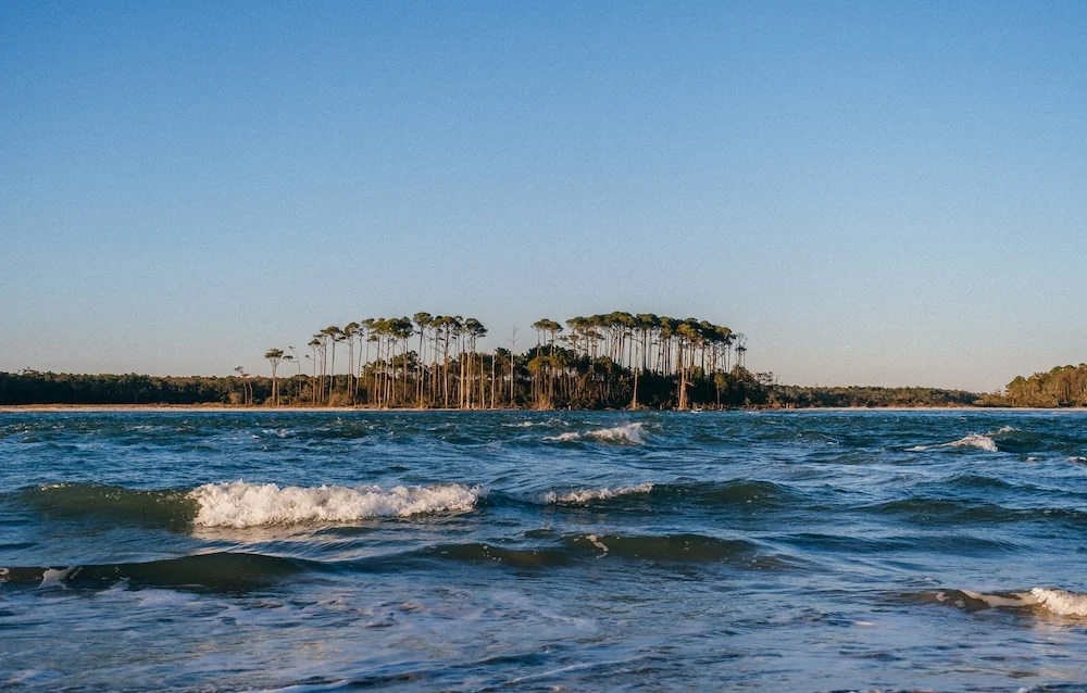 Along the Grand Strand
