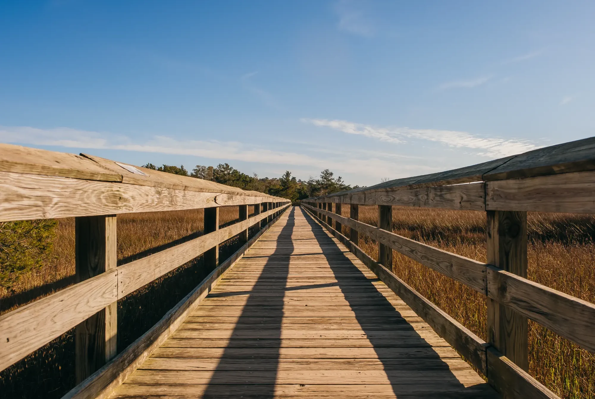 Long wooden boardwalk with railings casting shadows over golden marsh under clear blue sky.