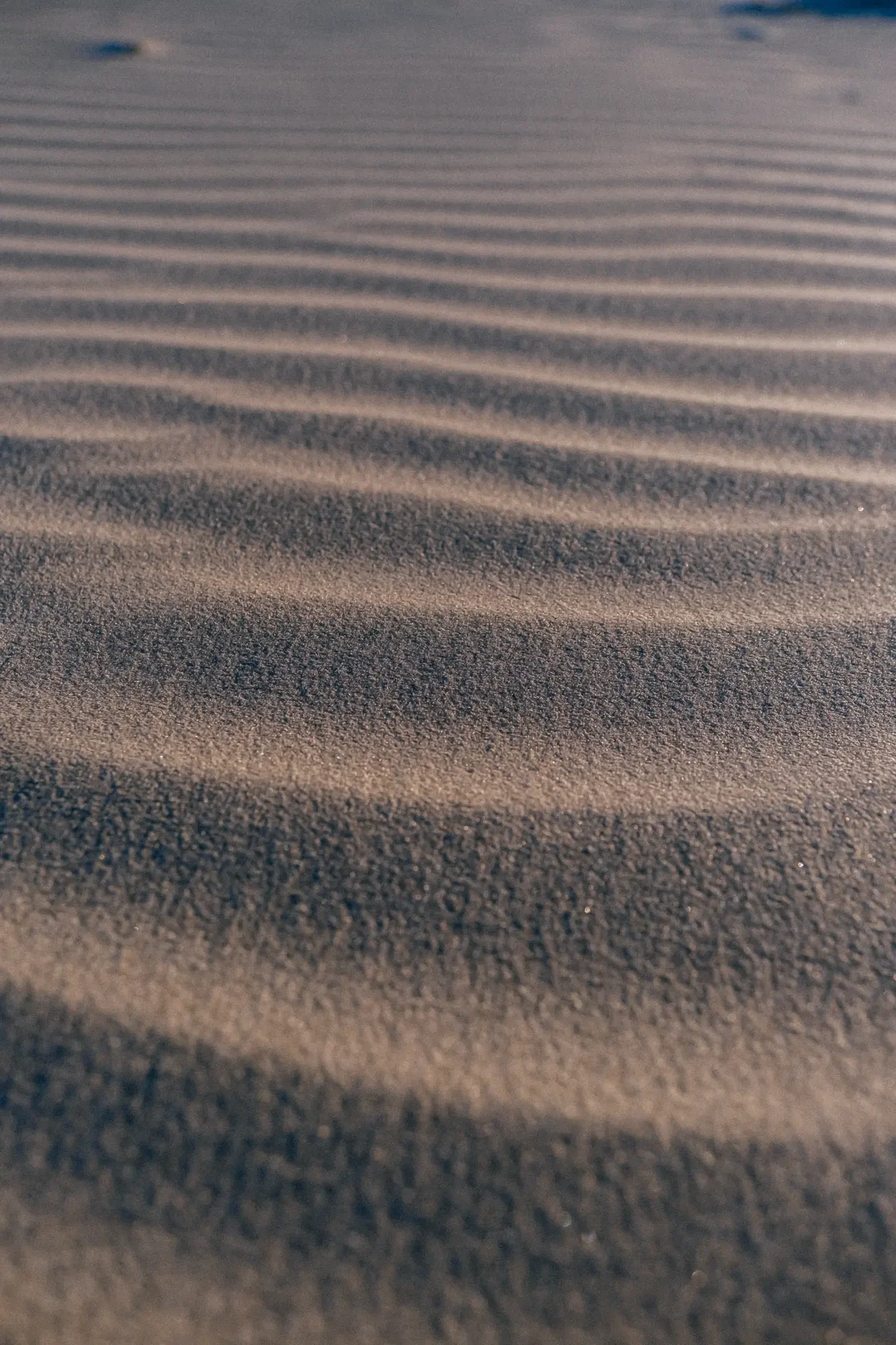 Close up of sand ripples with low golden light casting soft diagonal shadows.