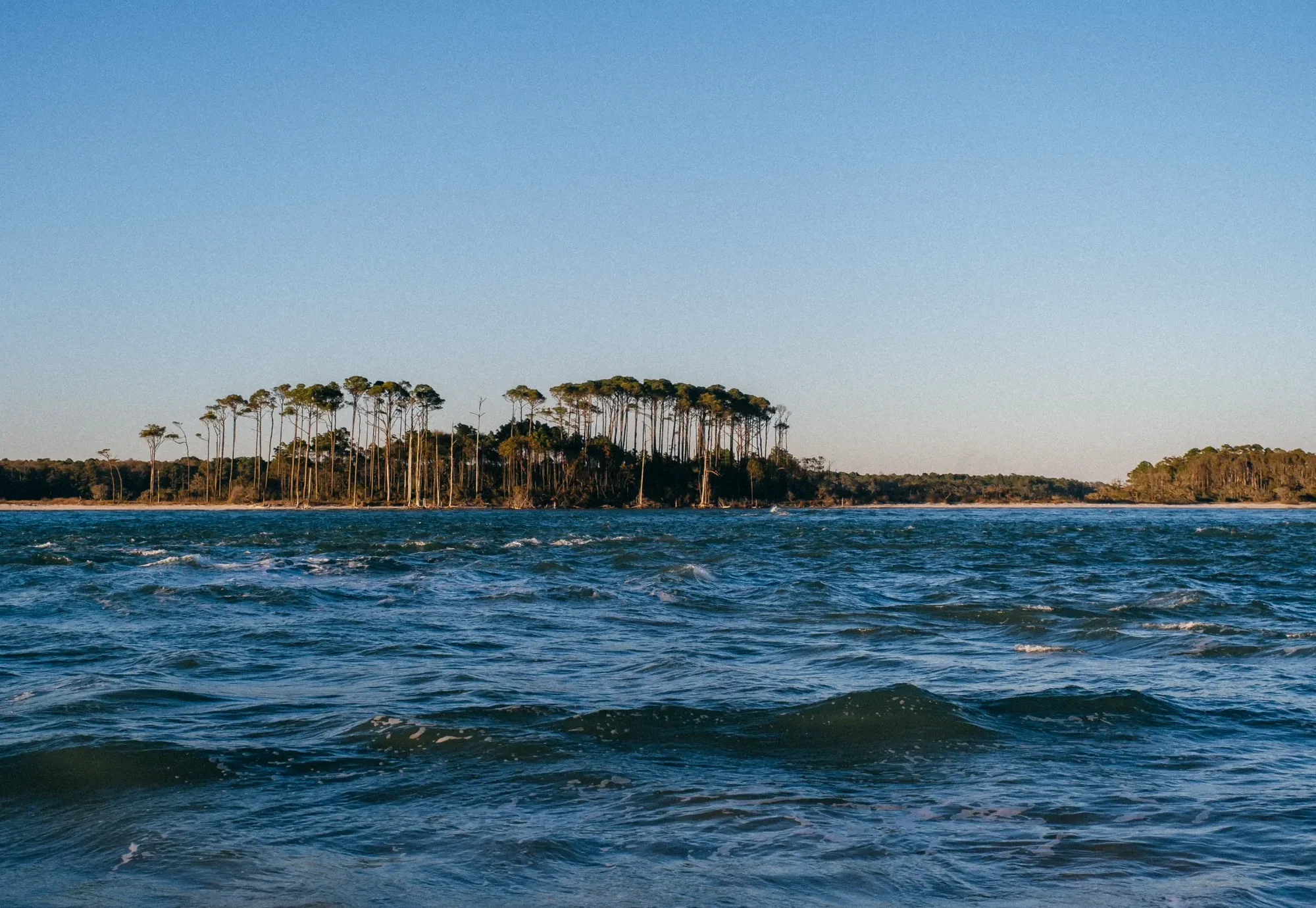 Choppy blue water foreground with distant thin pine trees along low sunlit shoreline.