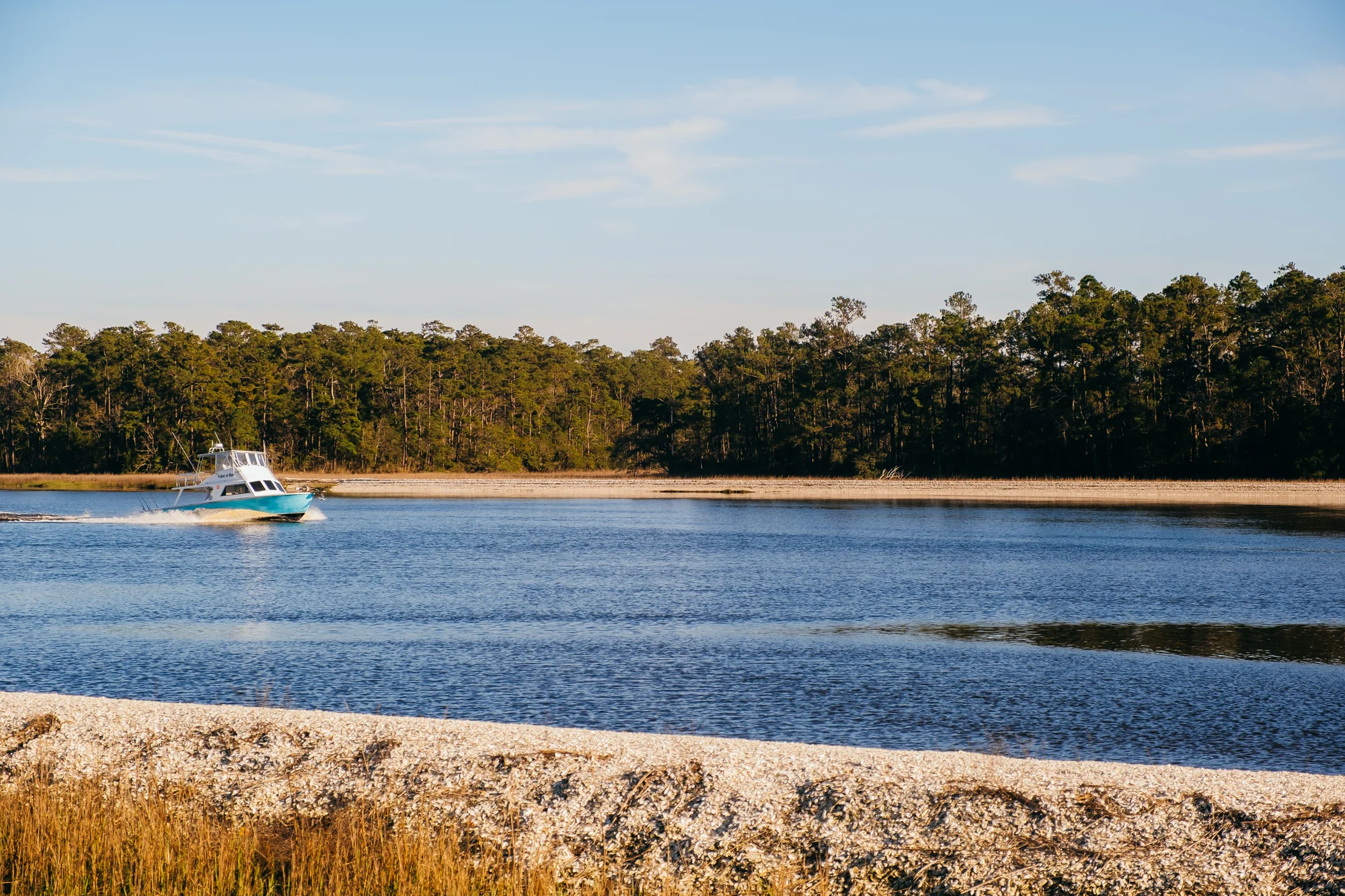 Turquoise and white motorboat speeding across calm blue water past tree lined shore at golden light.