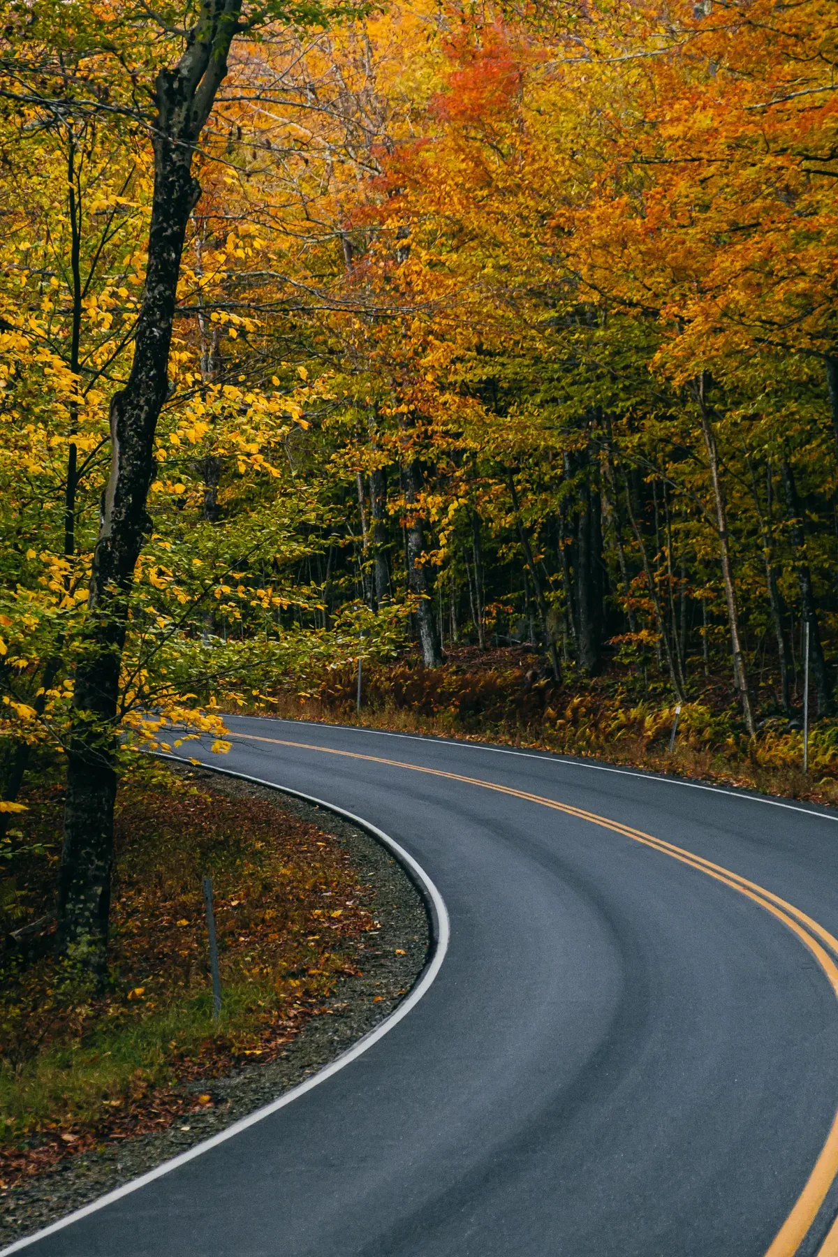 New Hampshire and Quechee photograph, image 9.