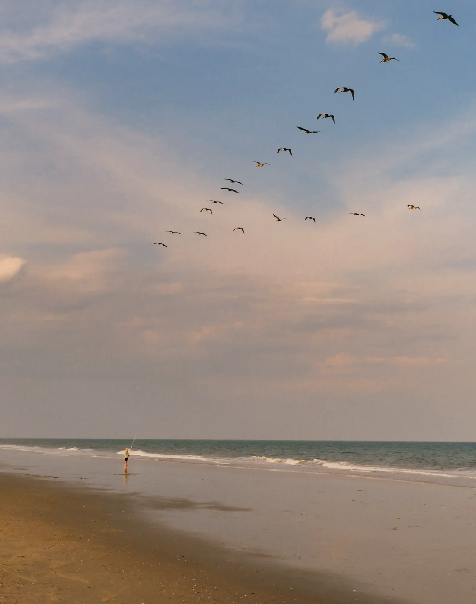 Lone person fishing on reflective beach shoreline under pastel sky with birds flying overhead.