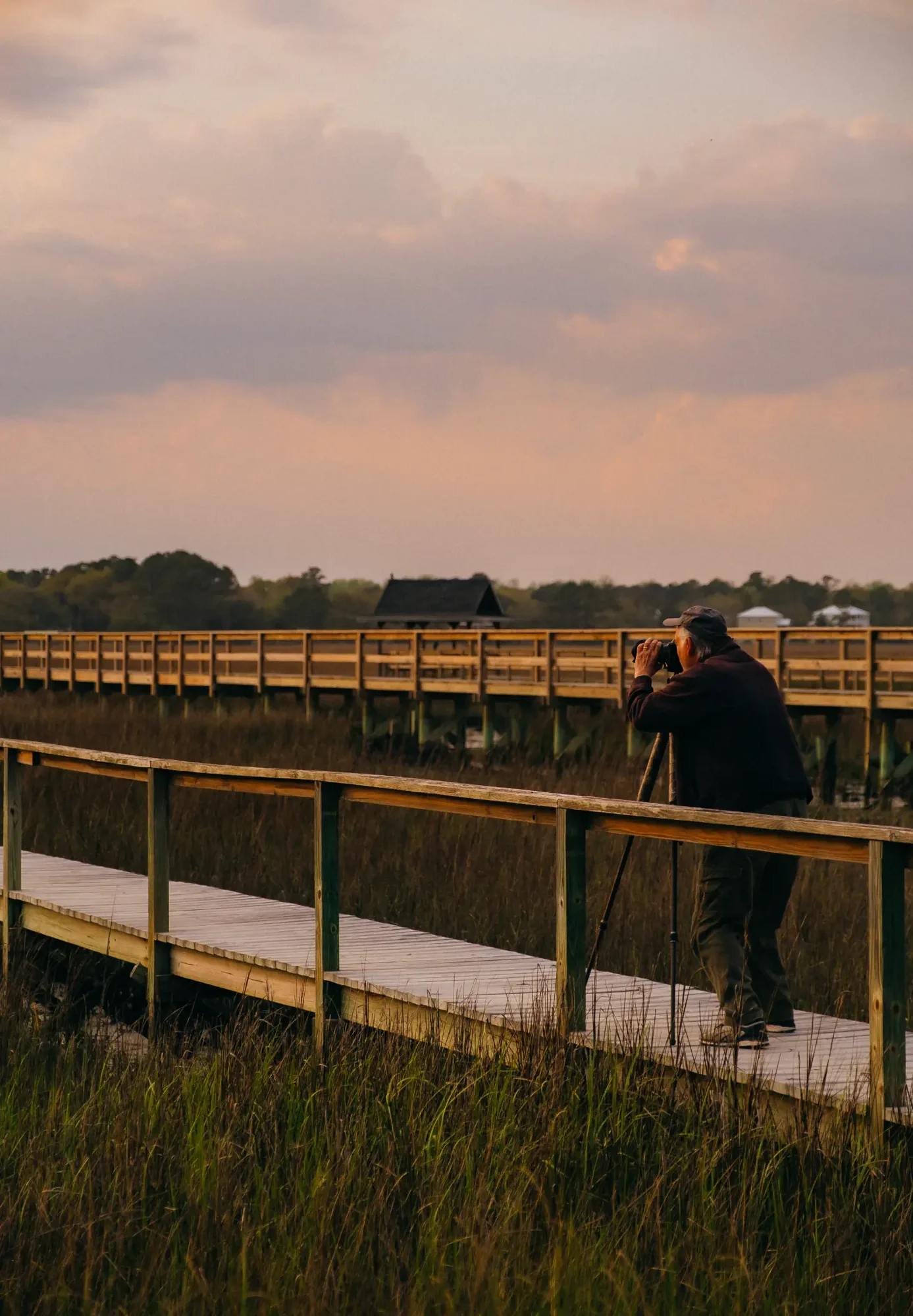 Person using camera on tripod along wooden boardwalk over marsh at pastel sunset.