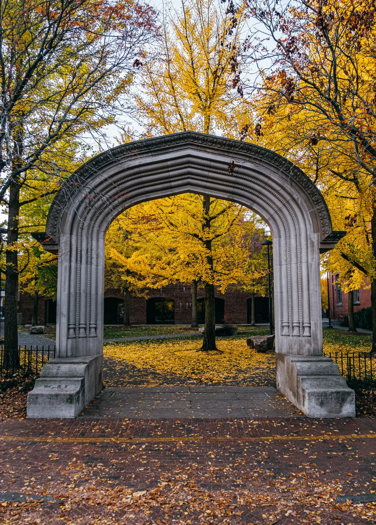 Salem, Massachusetts photograph, image 7.