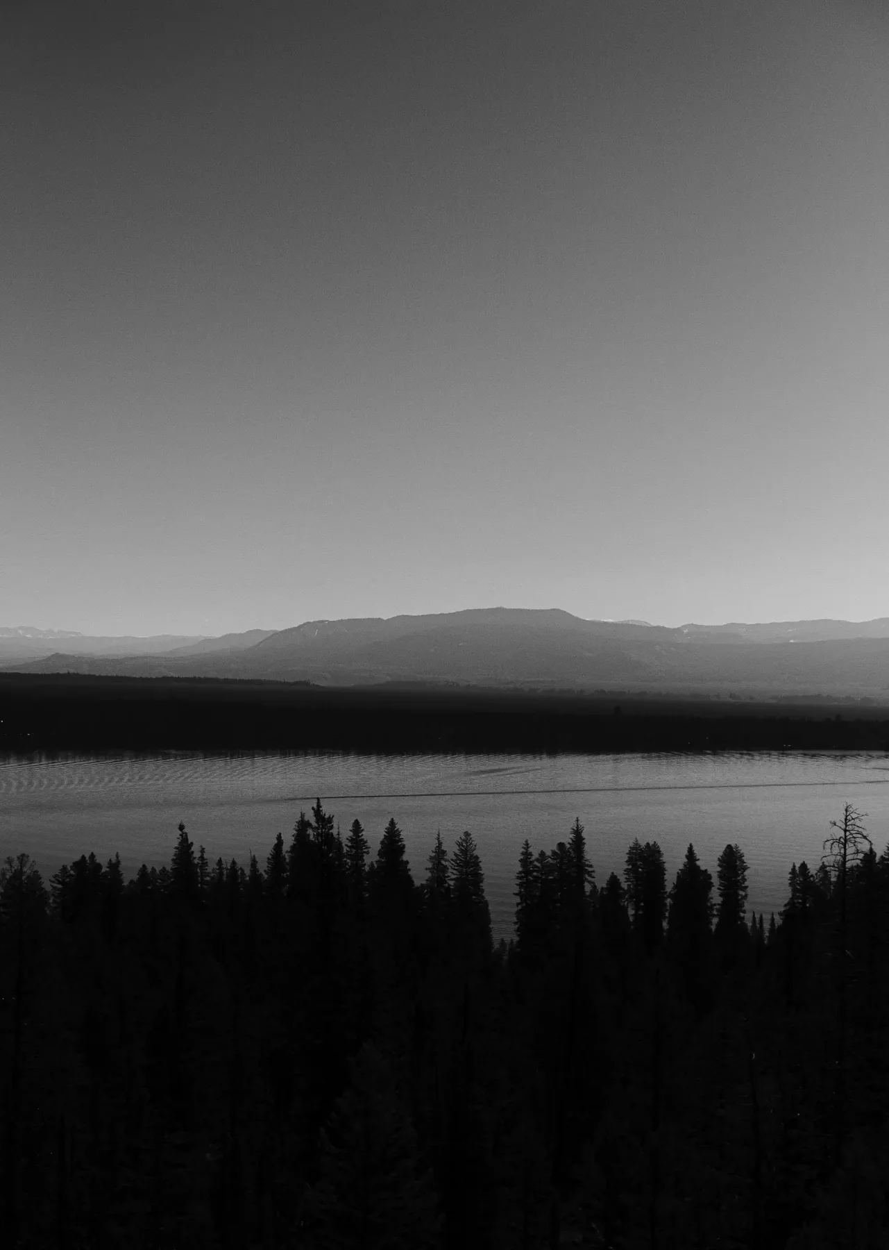 Black-and-white lake and mountain landscape framed by a dark evergreen forest.