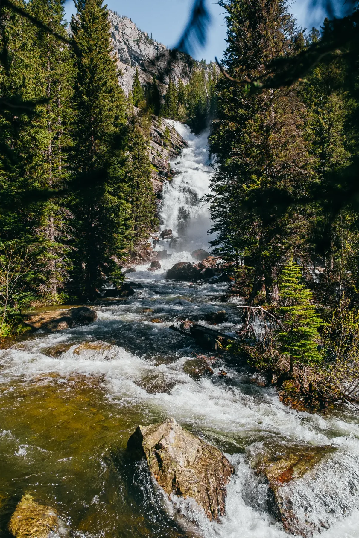Forest waterfall rushing through a rocky mountain gorge.