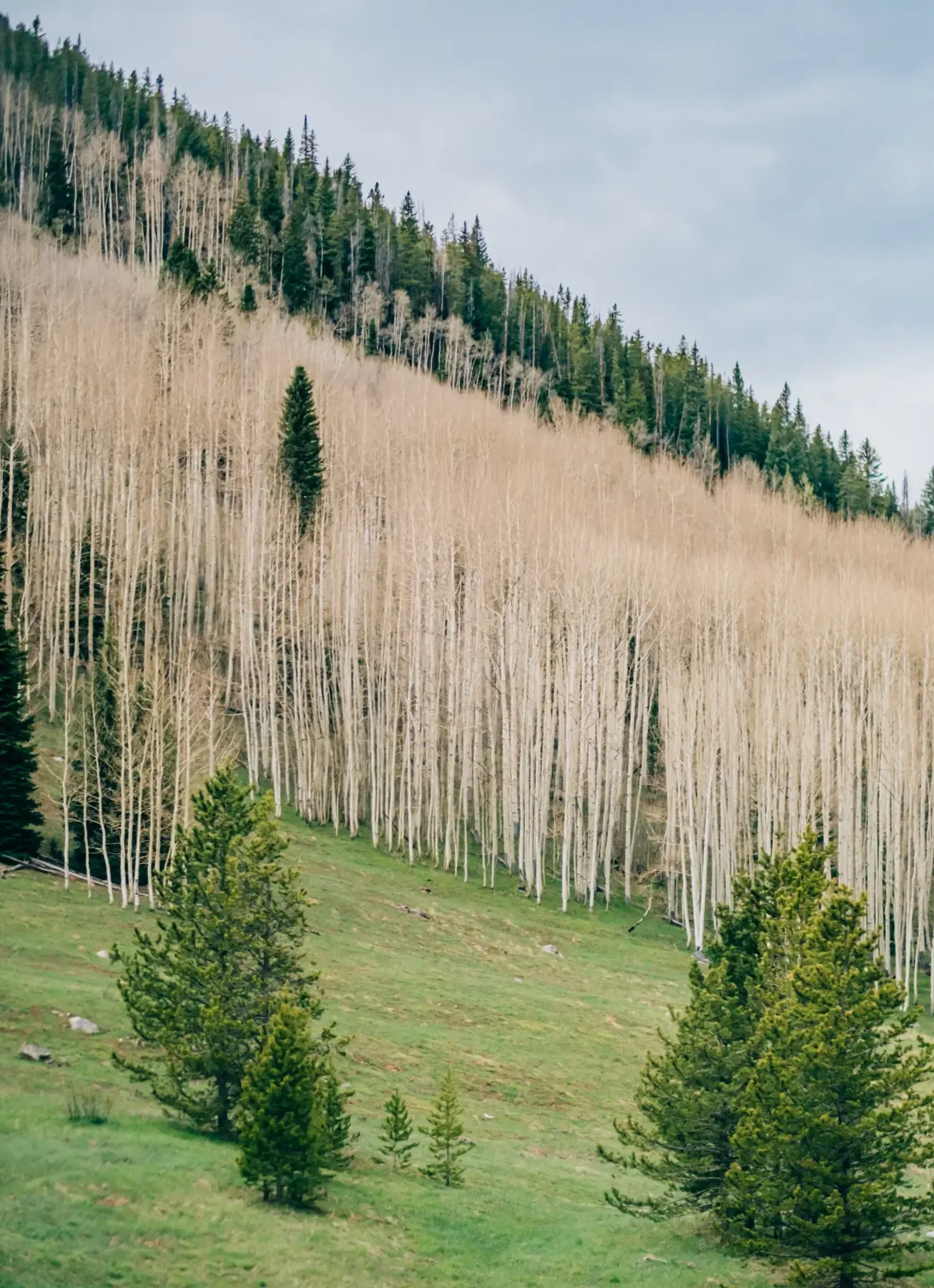 Vail, Colorado photograph, image 3.