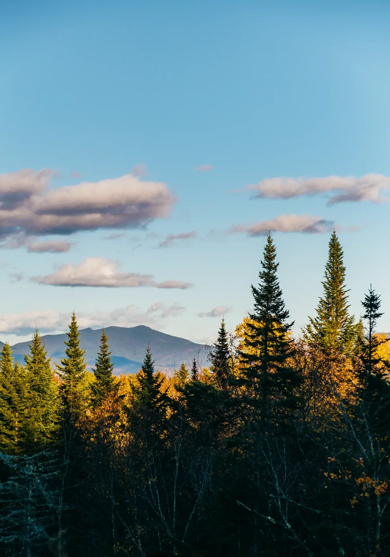 Vermont landscape photograph, image 5.