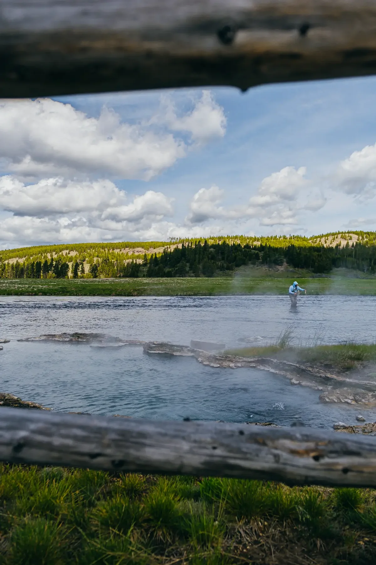 Yellowstone