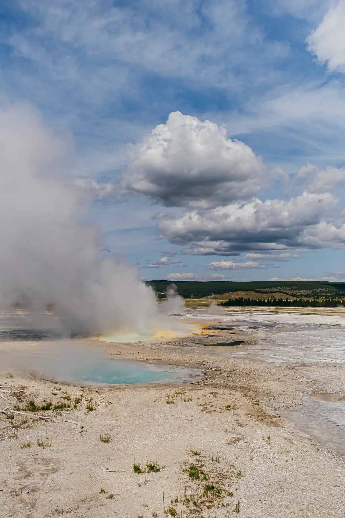 Yellowstone National Park photograph, image 4.