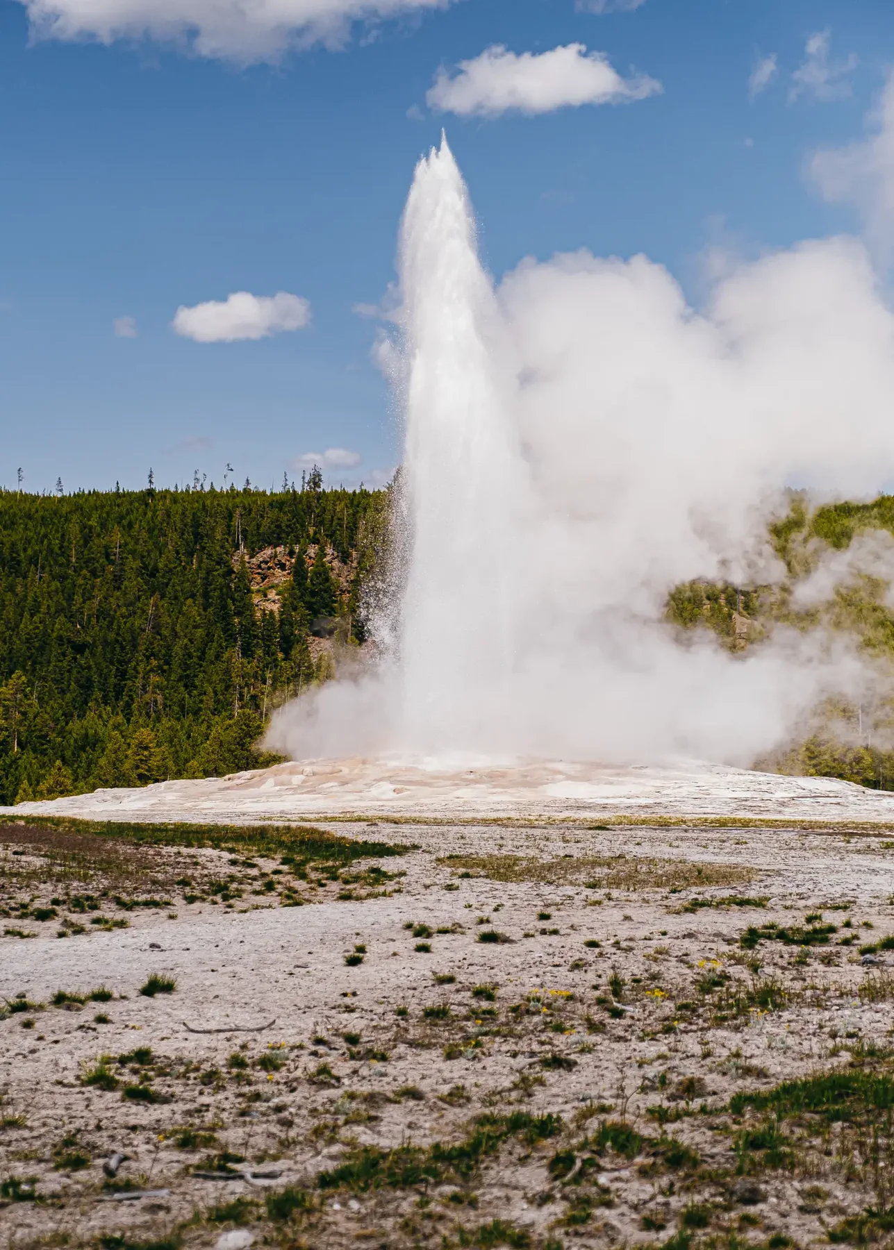 Yellowstone National Park photograph, image 5.
