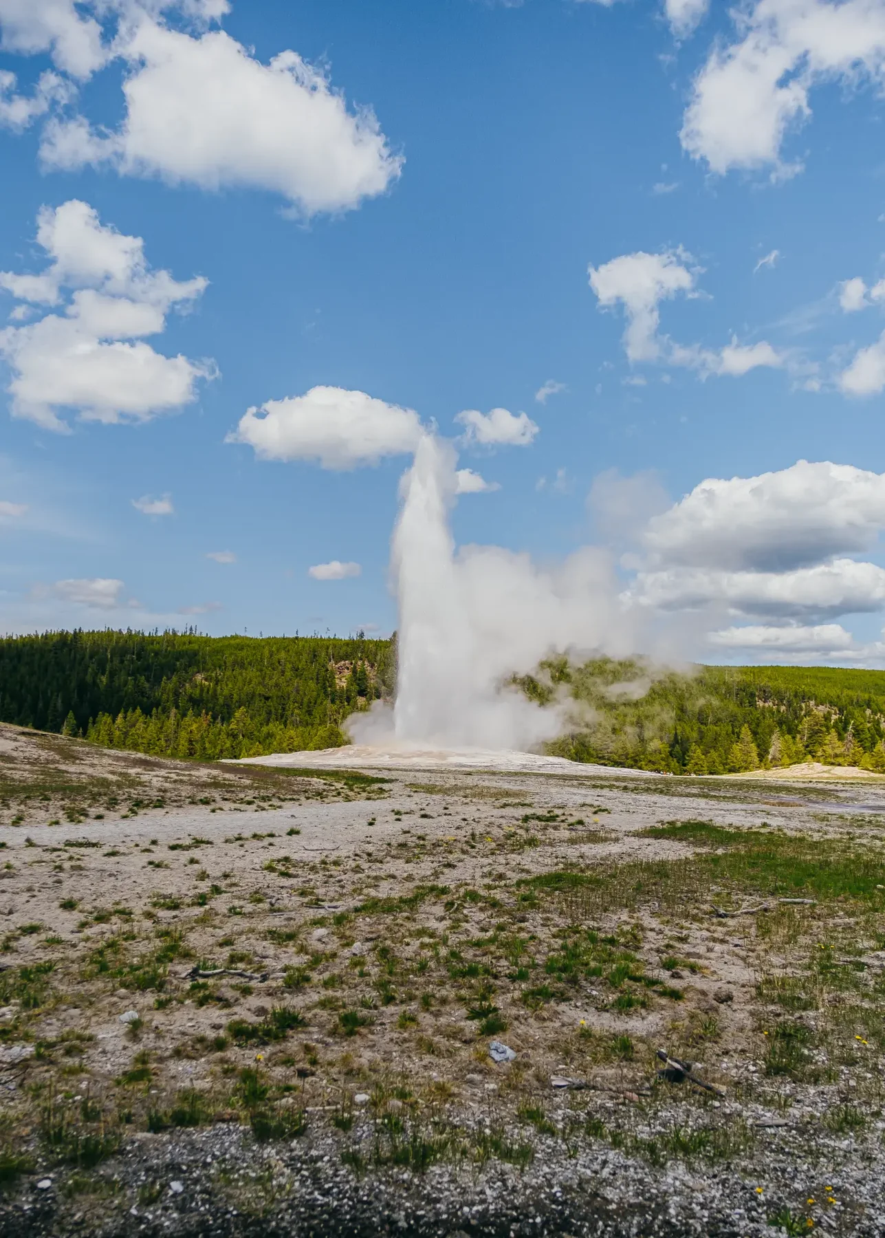 Old Faithful, Yellowstone National Park.